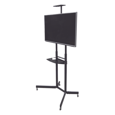 Vista 4