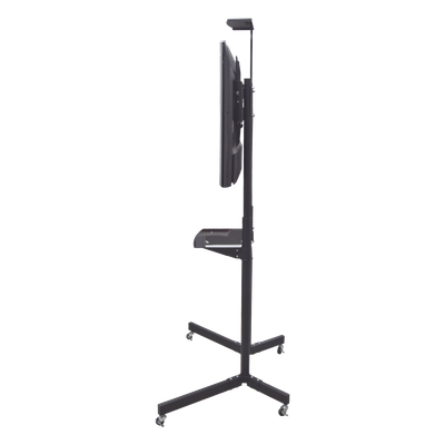 Vista 5