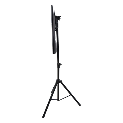 Vista 3