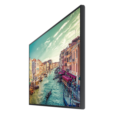Vista 5
