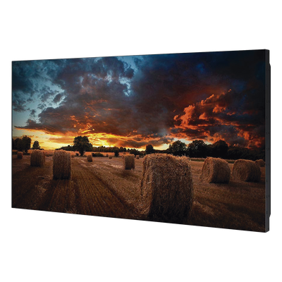 Vista 4