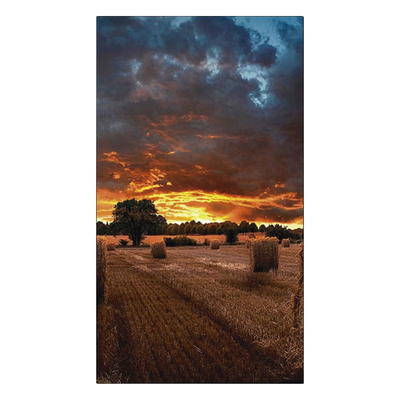 Vista 5