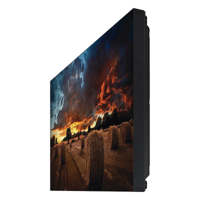 Vista 6