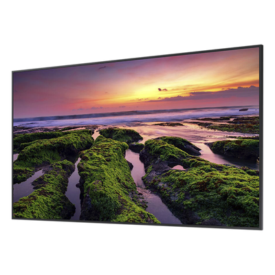 Vista 2