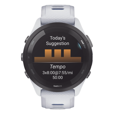 Vista 4