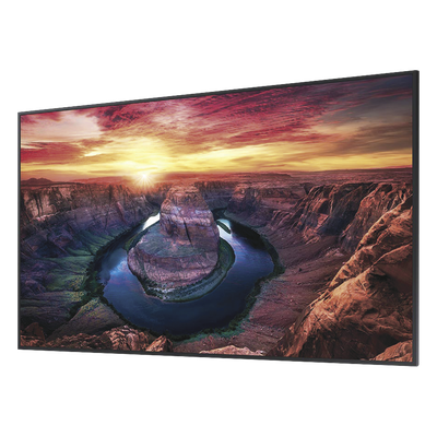 Vista 2