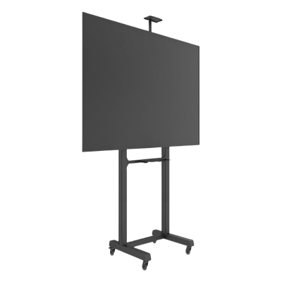 Vista 6