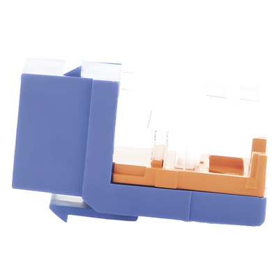 Vista 4
